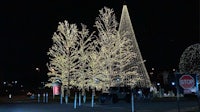 a christmas tree is lit up in front of a stop sign