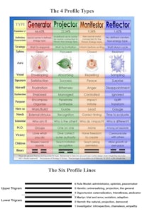 the six profile types
