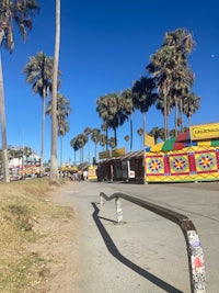 a street with palm trees and a skateboarder