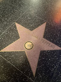 a star on the hollywood walk of fame