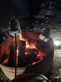 marshmallows on sticks next to a campfire