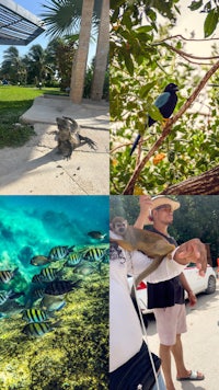 a collage of pictures of birds, fish, and other animals